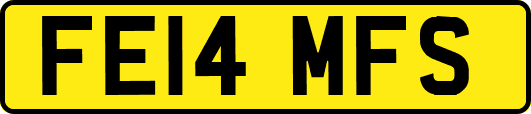 FE14MFS