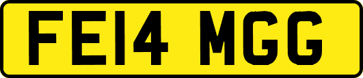FE14MGG