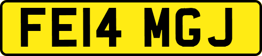 FE14MGJ