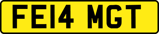 FE14MGT