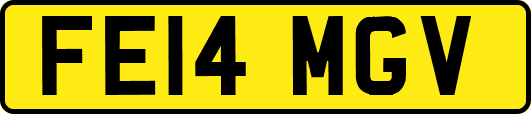 FE14MGV