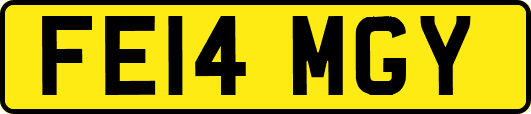 FE14MGY