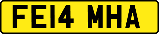 FE14MHA