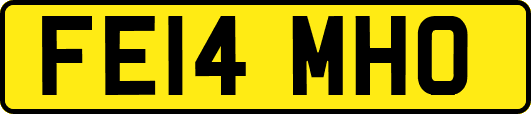 FE14MHO