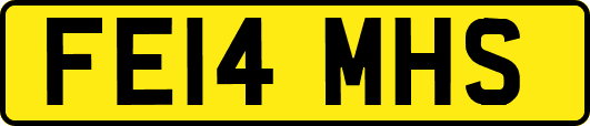 FE14MHS