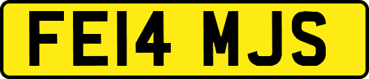 FE14MJS