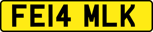 FE14MLK