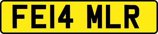 FE14MLR