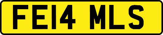 FE14MLS