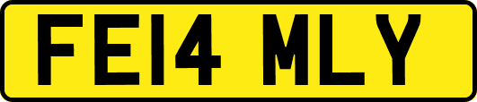 FE14MLY