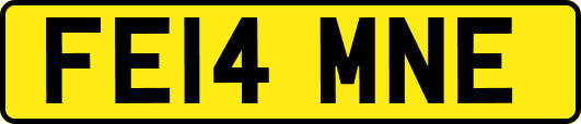 FE14MNE