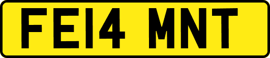 FE14MNT