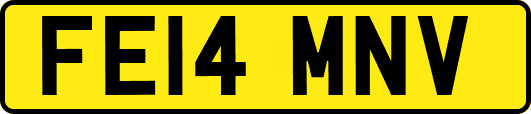 FE14MNV