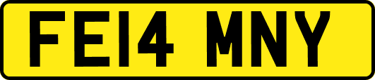 FE14MNY