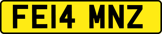 FE14MNZ
