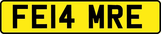 FE14MRE