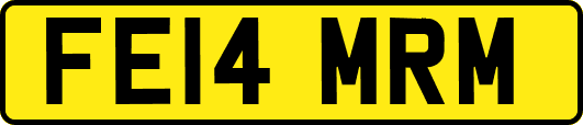 FE14MRM