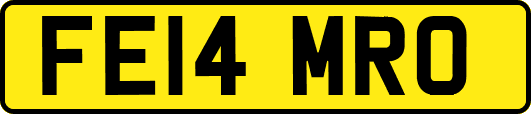 FE14MRO