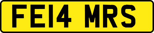 FE14MRS