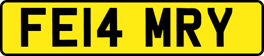 FE14MRY