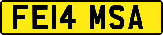 FE14MSA