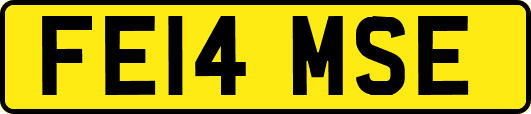 FE14MSE