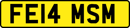 FE14MSM
