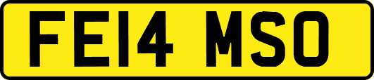 FE14MSO