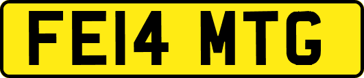 FE14MTG