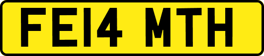 FE14MTH