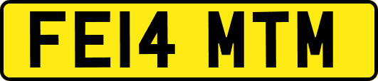 FE14MTM