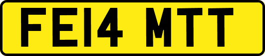 FE14MTT