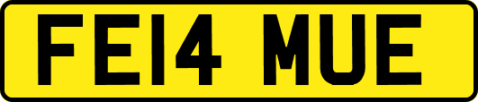 FE14MUE