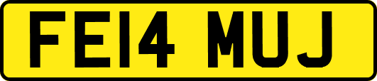 FE14MUJ