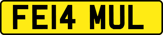 FE14MUL