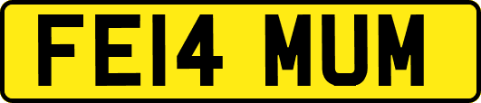 FE14MUM
