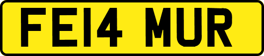 FE14MUR