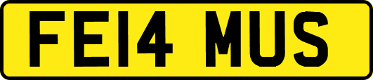 FE14MUS