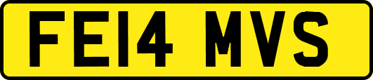 FE14MVS