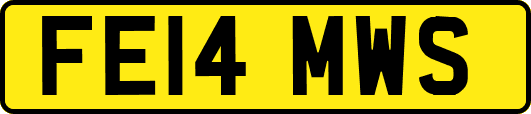 FE14MWS