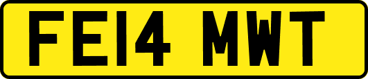 FE14MWT