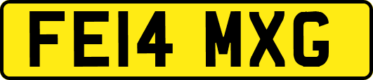 FE14MXG