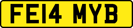 FE14MYB