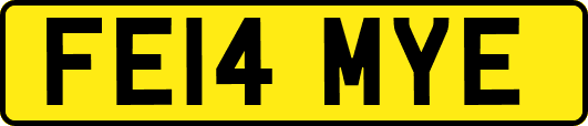 FE14MYE
