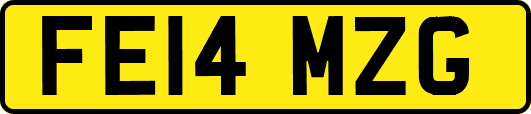 FE14MZG