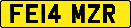FE14MZR