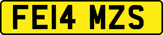 FE14MZS
