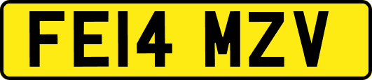 FE14MZV