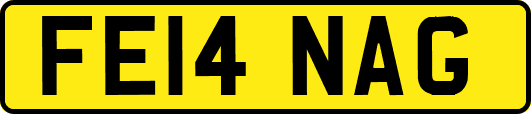 FE14NAG