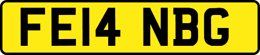 FE14NBG